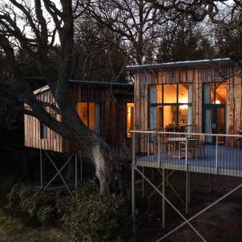 Chiffchaff Treehouse