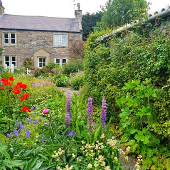 South View Cottage