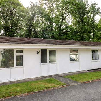 11 Tremore