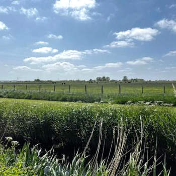 Whitstable, CW18, 2 bed park home, Alberta Holiday Park
