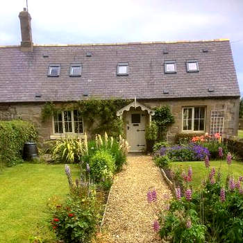 Alncroft- 28486