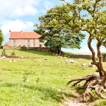 Warren Farmhouse
