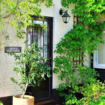 Dove Cottage