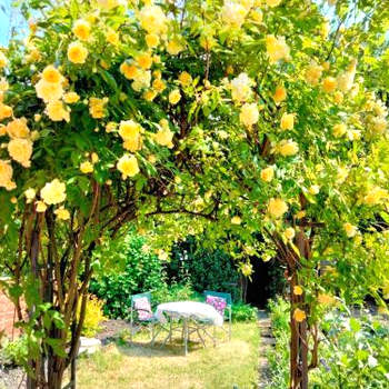 Garden Cottage
