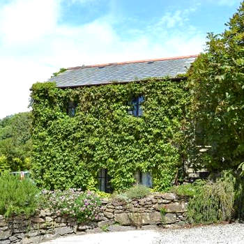 Hollies Cottage - 27593