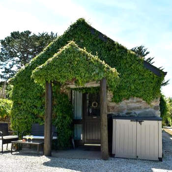 Babes Cottage - 27592