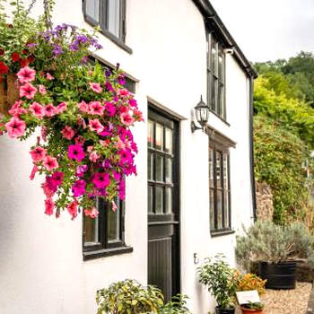 Woodview - cosy 1840s cottage in Chew Valley and Mendip AONB