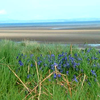 Three bedroom House with a Magnificent sea view Sandhead Dumfries & Galloway