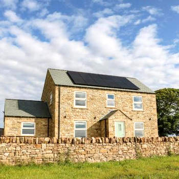 Forestside View