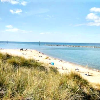 Dune Roamin': Sea Palling's Treasure - NOW with TV