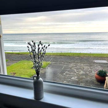 Dolphin view