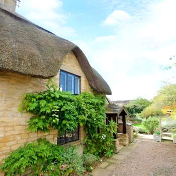 The Thatch
