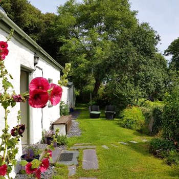 Tyn Llan