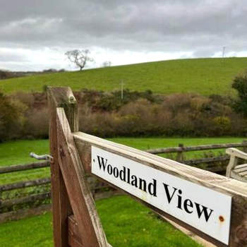 Woodland View at Hewish Mill