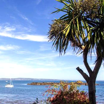 The Snug in Mousehole