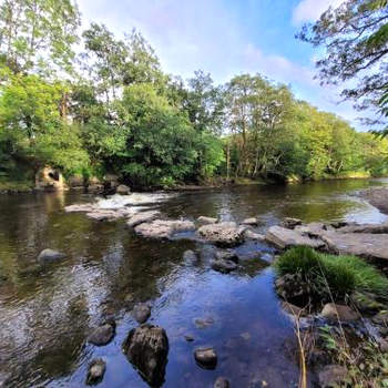 Riverside Bungalow - direct river access!