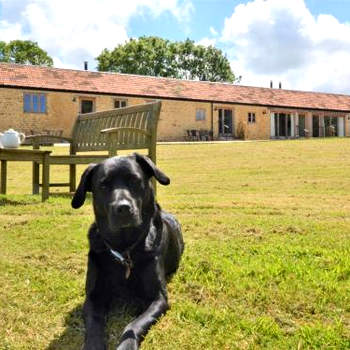 1 bed in Beaminster 75191