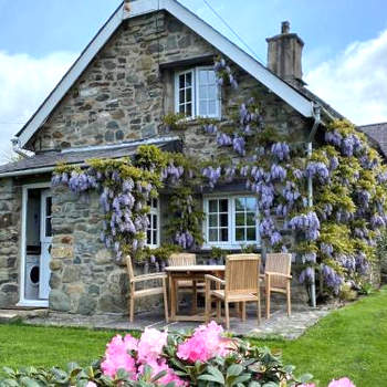 2 Bed in Nefyn 56989