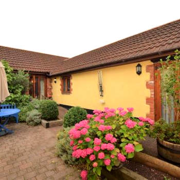 1 Bed in Tiverton 53102