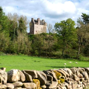 5 Bed in Selkirk TOWER