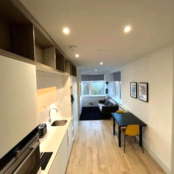 Londons LUXX Apartments & Suites, ENTIRE APARTMENT, Netflix & Chill, PARKING ON SITE