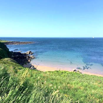 1 Bed in Plymouth 91835