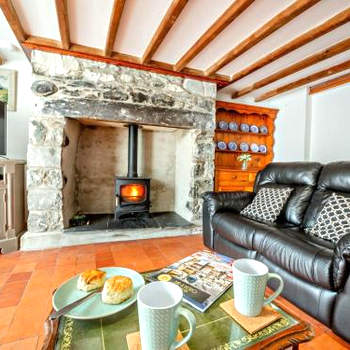 2 Bed in Aberdesach 92082