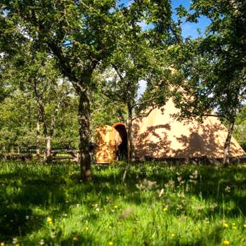 Torre Cider Farm