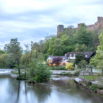 6 Bed in Ludlow 60009