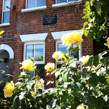 Large pretty holiday cottage by the sea sleeps 10