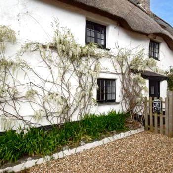 3 Bed in Salcombe 75138