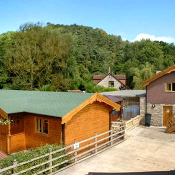 Pine Lodge - Uk46279