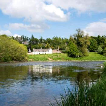 Dryburgh Stirling Two