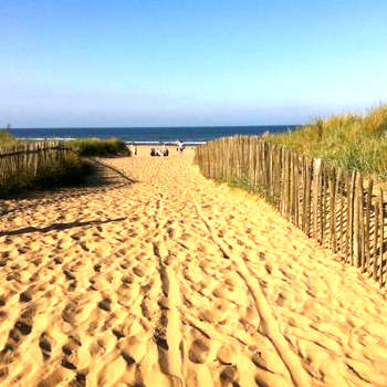 Golden sands beach activities sea holiday relax