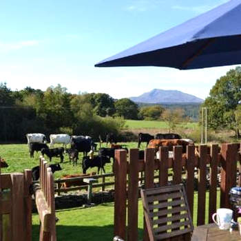 Siabod Luxury Cottage