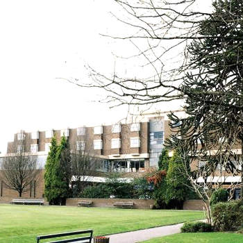 The Ashley Hotel