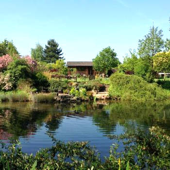 Lakeside Town Farm
