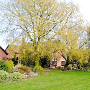 Ash Cottage E1224