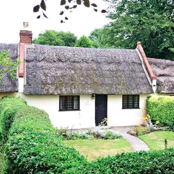 Violet Cottage