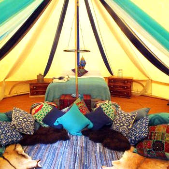 Hollington Park Glamping