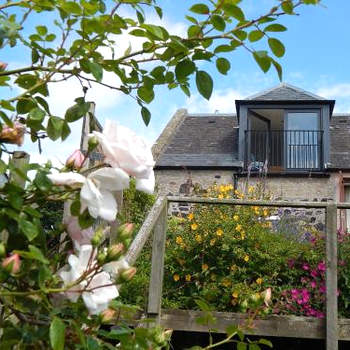 Plumtree Cottage