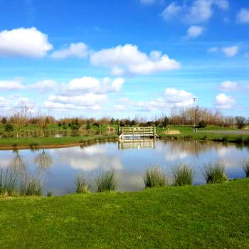 Sycamore Farm Park
