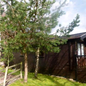 Acorn Lodge - Burnside Park