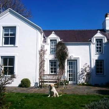 Bryn Tirion