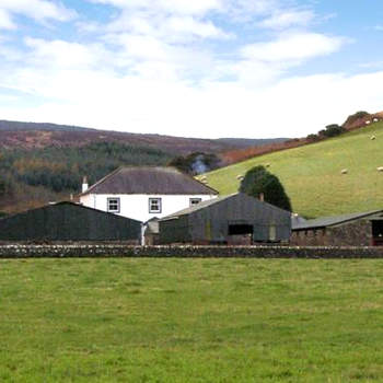 Homestone Farm