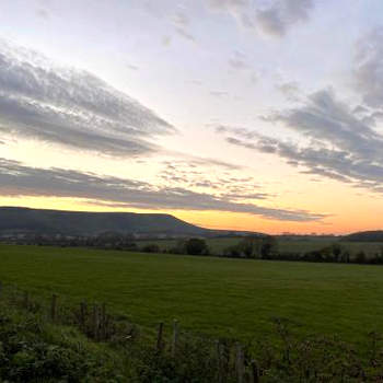 The Rose Cottage Inn