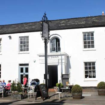 The Swan