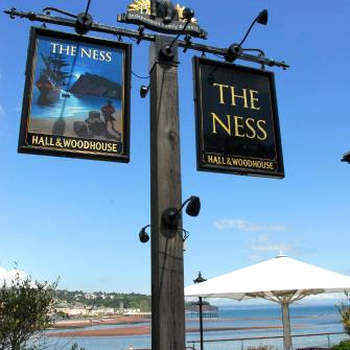 The Ness