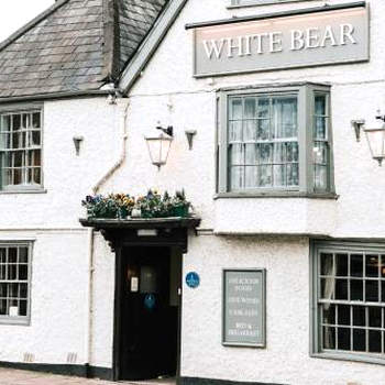 The White Bear