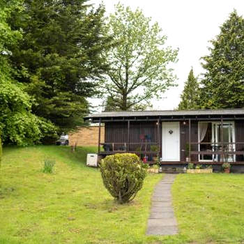 Catkin Lodge set in a Beautiful Woodland Holiday Park